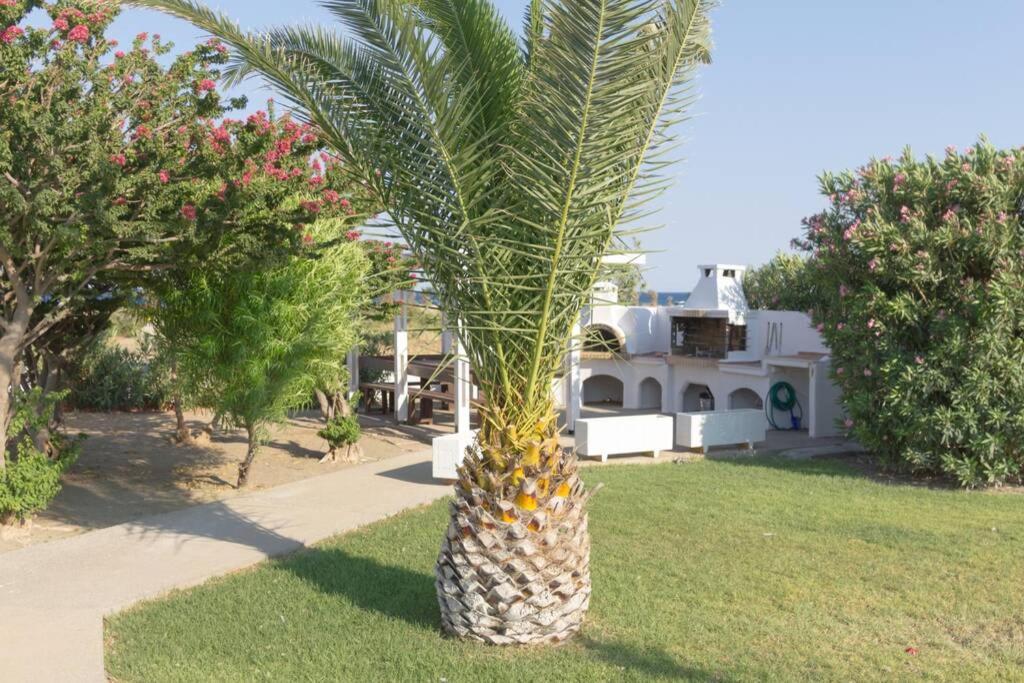 Renes Paradise Seahome - Afandou Beach, Rhodes Kolymbia Exterior foto